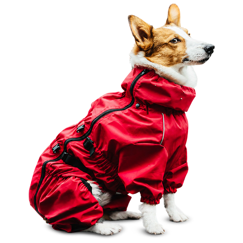 All-Season Raincoat