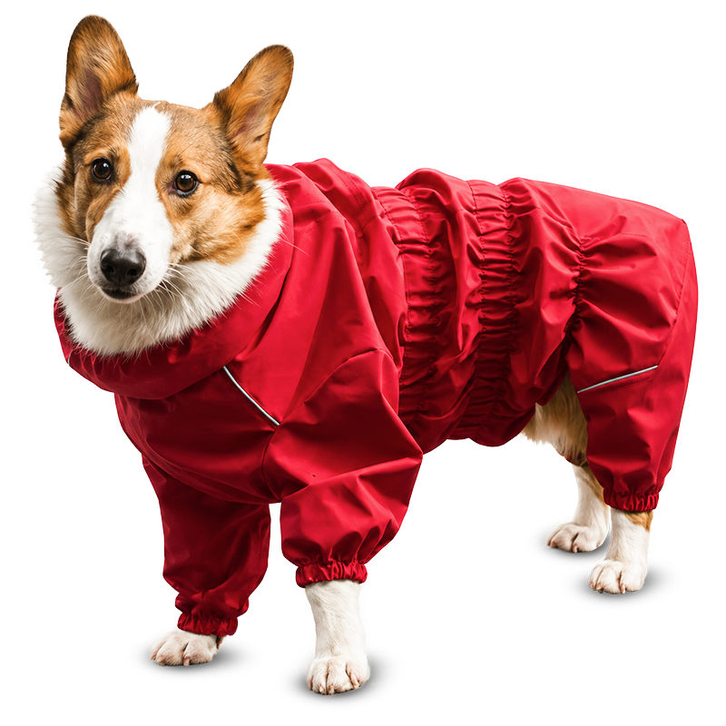 All-Season Raincoat