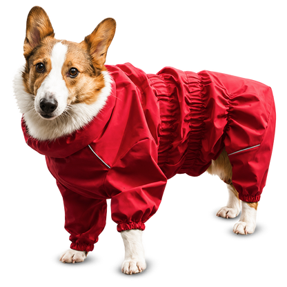 All-Season Raincoat