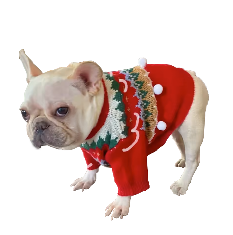 Cozy Pet Christmas Sweater