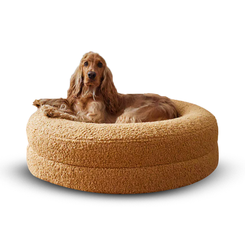 Donut Nest