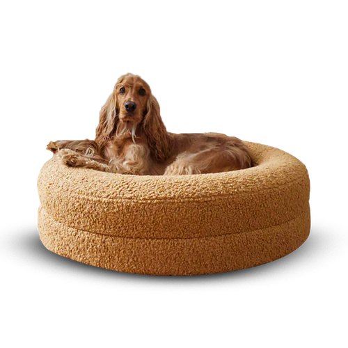 Donut Nest