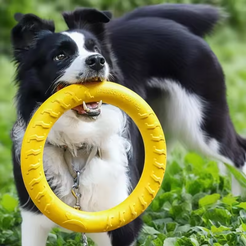 AeroFetch Dog Frisbee