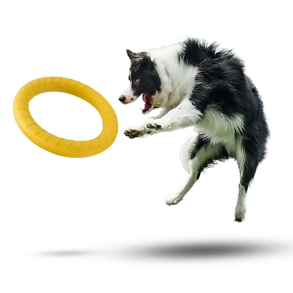 AeroFetch Dog Frisbee
