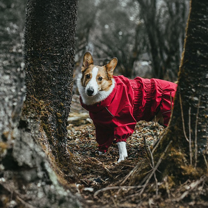 All-Season Raincoat