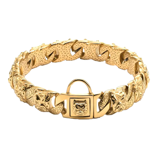 CrownBully Chain Collar