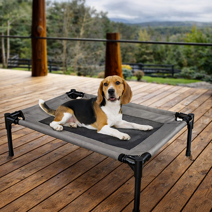 Elevated Pet Bed