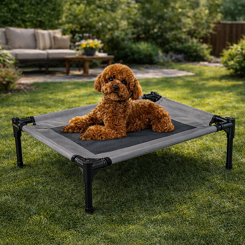 Elevated Pet Bed