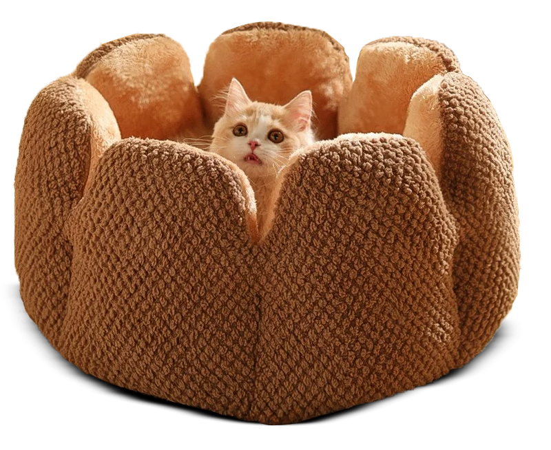 Comfy Cactus Pet Bed
