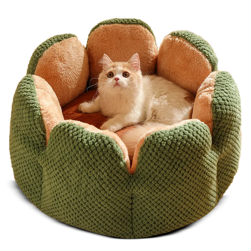 Comfy Cactus Pet Bed