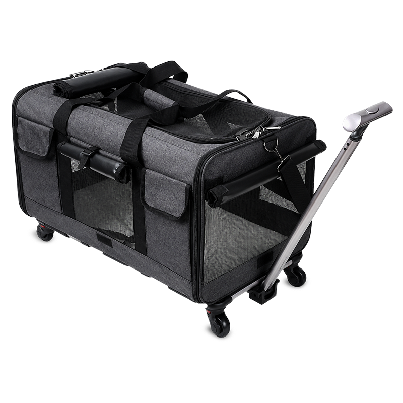 PawVoyage Pet Carrier