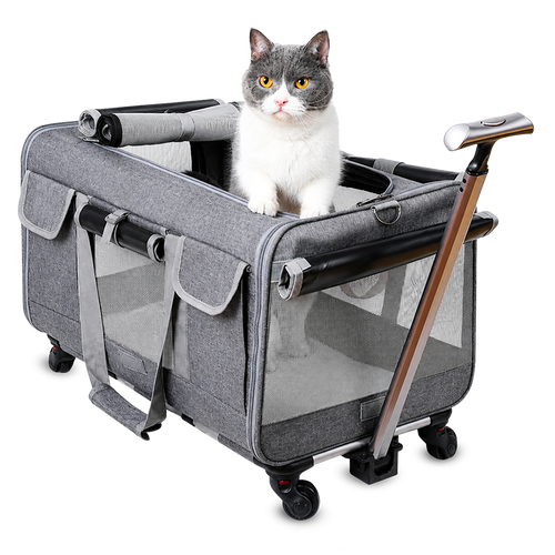 PawVoyage Pet Carrier