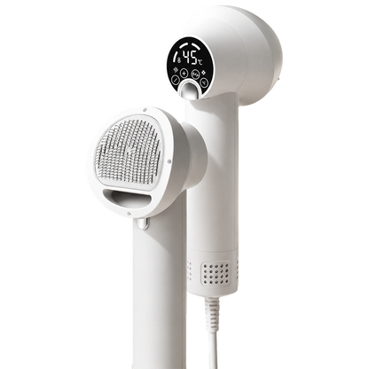 PetGlow 2-in-1 Hairdryer & Comb