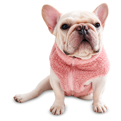 Fleece Pet Vest
