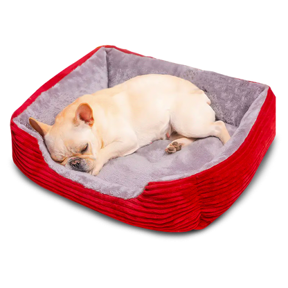 Teddy Plush Dog Bed