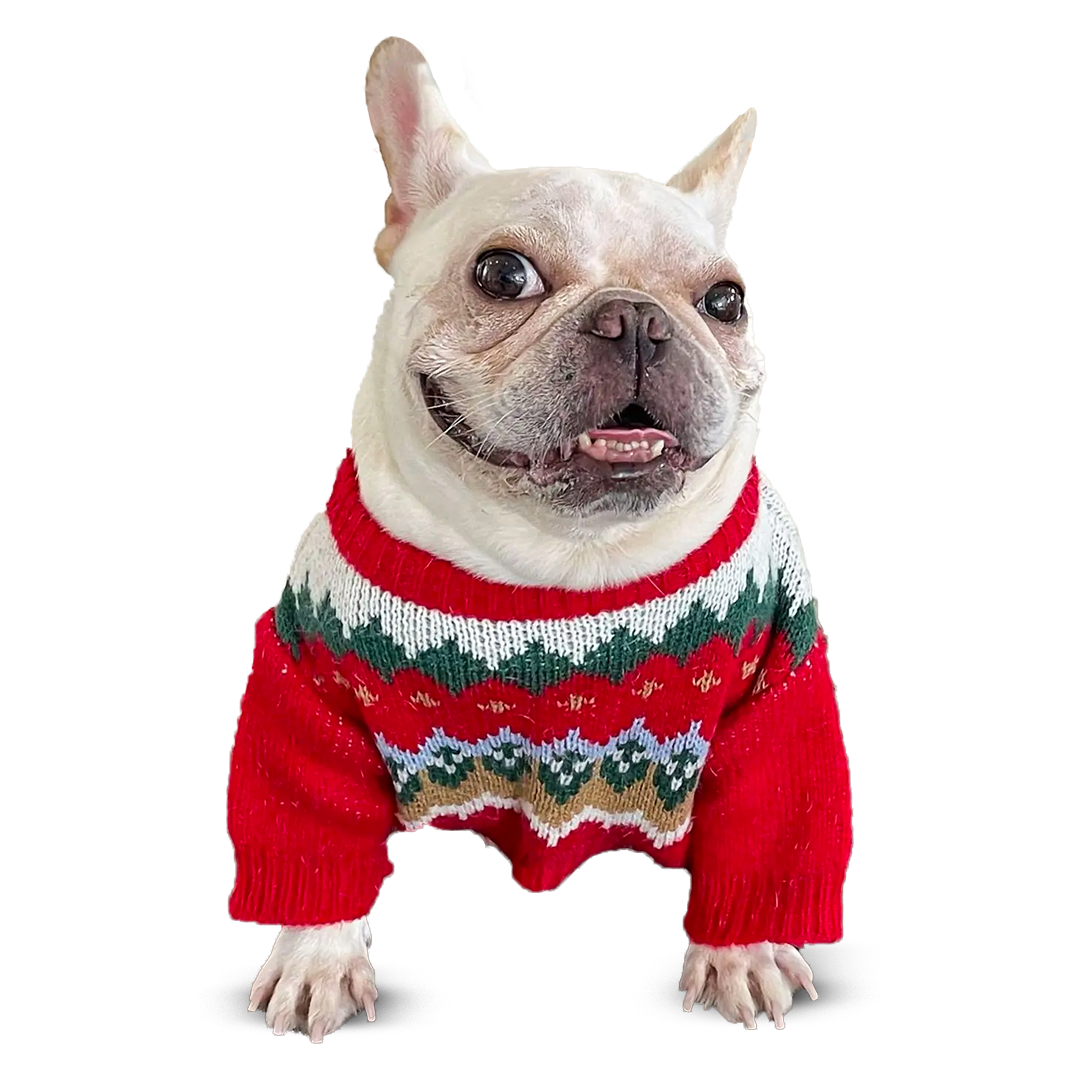 Cozy Pet Christmas Sweater